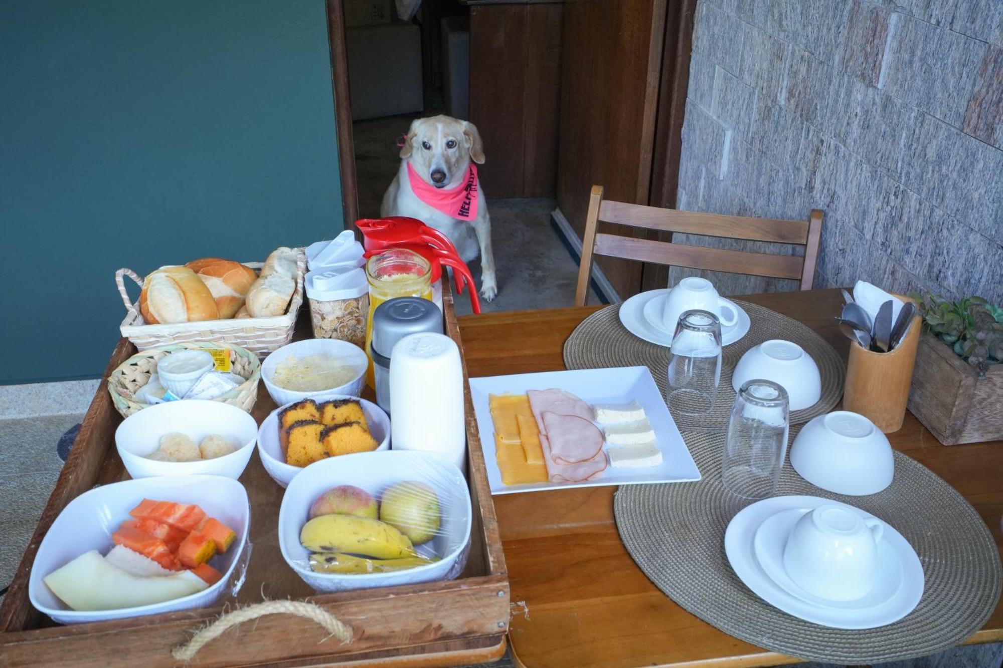 Villa Aye Pousada Boutique Petfriendly 索科罗 外观 照片